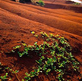 《生化危机4：重制版》艾达王黑丝逼真 玩家把持不住了